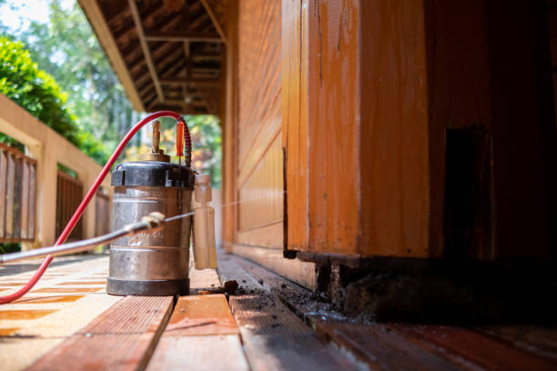 Best Affordable Pest Control Services  in , RI